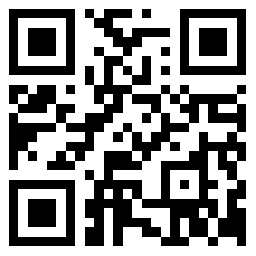 the qr code